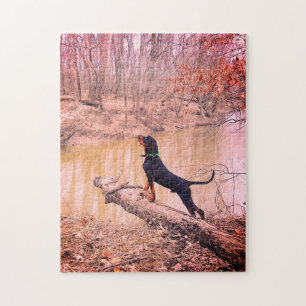 Black & Tan Coonhound At The River Jigsaw Puzzle