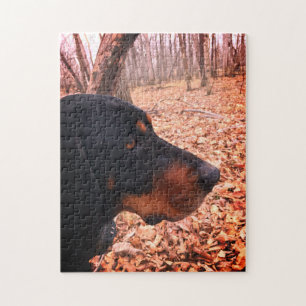 Black & Tan Coonhound Jigsaw Puzzle