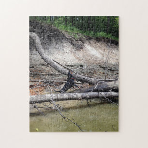Black & Tan Coonhound Treeing In The River Jigsaw Puzzle