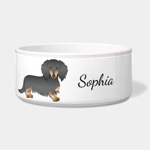 Black & Tan Long Hair Dachshund Cartoon Dog & Name
