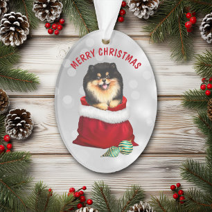Black Tan Pomeranian Gift Surprise Ornament