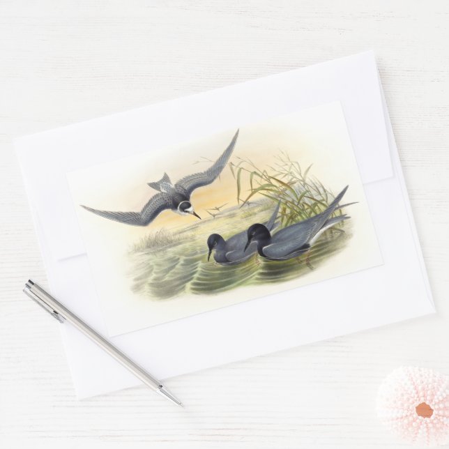 Black Tern  Rectangular Sticker (Envelope)