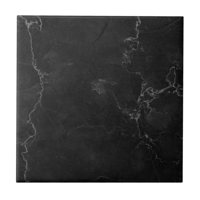 Black Texture Simple Modern Elegant Marble Ceramic Tile (Front)