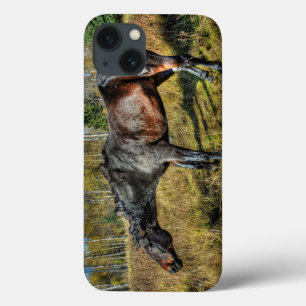 Black Thoroughbred Percheron Shaking Off Water iPhone 13 Case