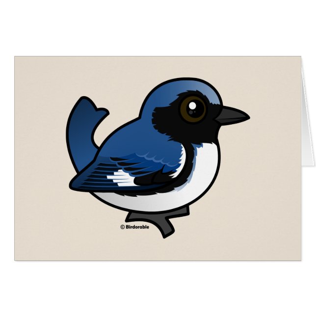 Black-throated Blue Warbler (Front Horizontal)