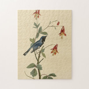 Black-throated Blue Warbler, Audubon Birds America Jigsaw Puzzle