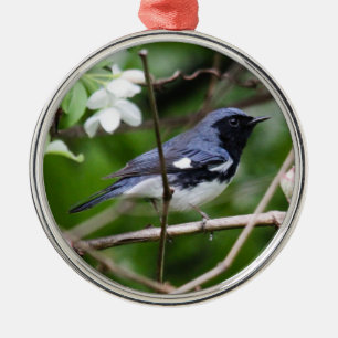 Black-throated Blue Warbler Metal Ornament