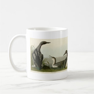 Black-Throated Diver Loon Audubon Birds of America Coffee Mug