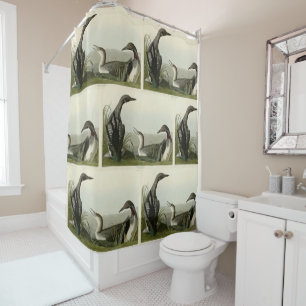 Black-Throated Diver Loon Audubon Birds of America Shower Curtain