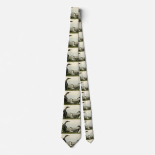 Black-Throated Diver Loon Audubon Birds of America Tie