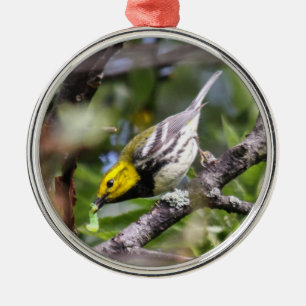 Black-throated Green Warbler Metal Ornament