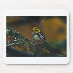 Black throated warbler mouse pad