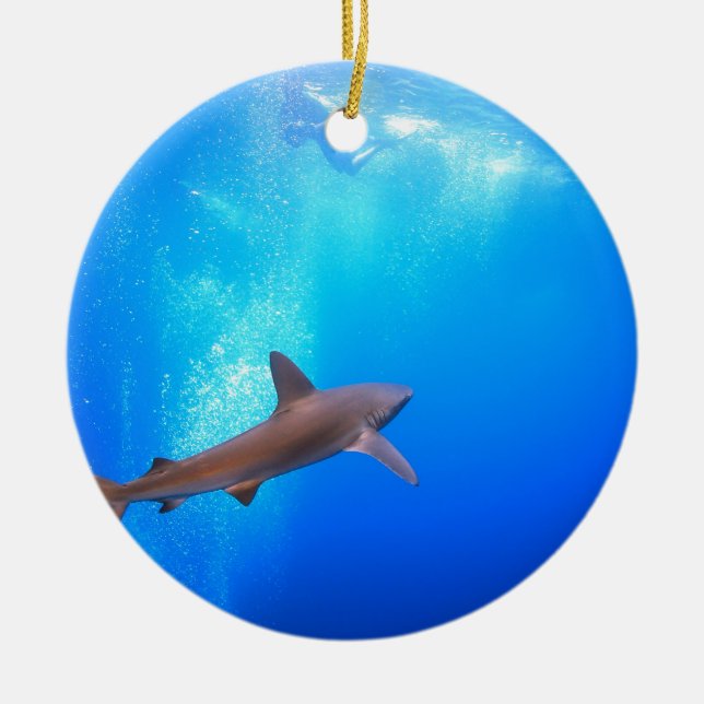 Black-tip reef shark swimming underwater ceramic ornament (Front)