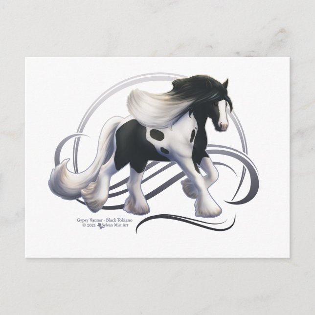Black Tobiano Gypsy Vanner Horse Postcard (Front)