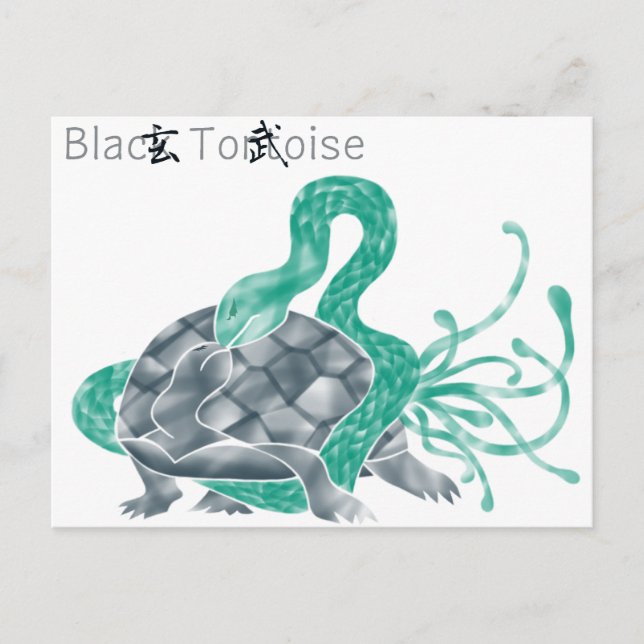 Black Tortoise(black) Postcard (Front)