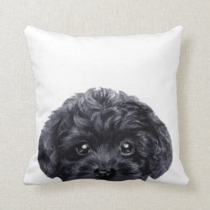 Black toy poodle original by miart cushion