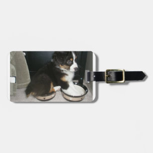 black tri puppy mini aussie in bowls luggage tag