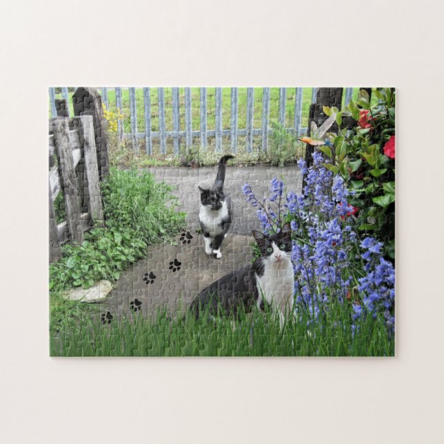 Black Tuxedo Cats in Garden  Jigsaw Puzzle (Horizontal)