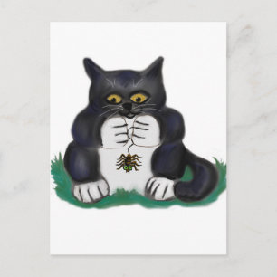 Black Tuxedo Kitten Finds a Garden Spider Postcard
