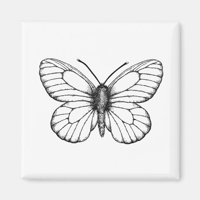 Black-veined white butterfly magnet (Front)