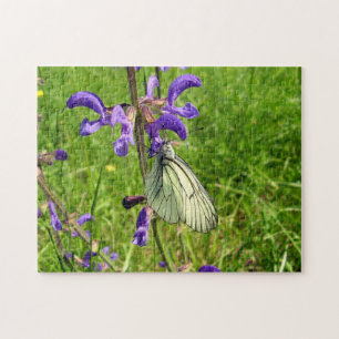 Black Veined White Butterfly Photo Puzzle