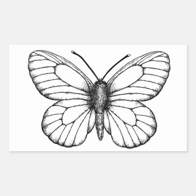 Black-veined white butterfly rectangular sticker (Front)