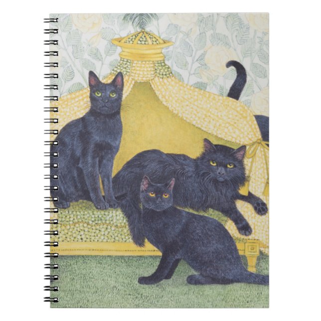 Black velvet notebook (Front)