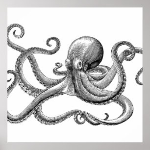 Black Vintage Octopus Scientific Illustration Poster