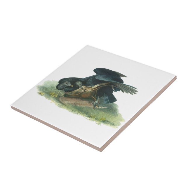 Black Vulture by Audubon Ceramic Tile (Side)