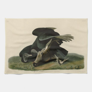 Black Vulture, from Audubon's Birds of America Tea Towel