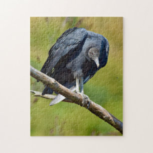 Black Vulture Wildlife Jigsaw Puzzle
