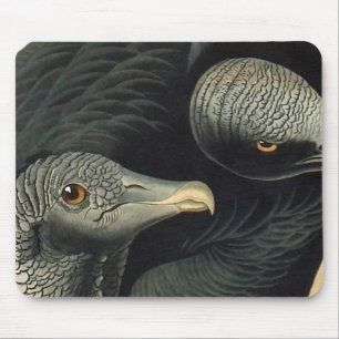 Black Vultures, John James Audubon Mouse Pad