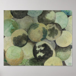 Black Walnuts Poster