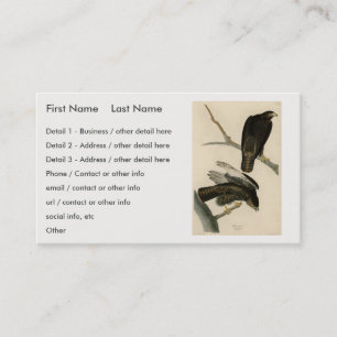 Black Warrior (Red-tailed Hawk) from Audubon Birds Business Card