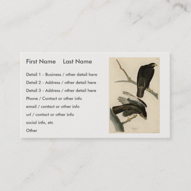 Black Warrior (Red-tailed Hawk) from Audubon Birds Business Card (Front)