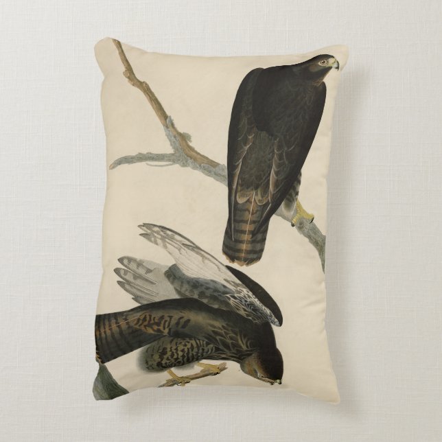 Black Warrior (Red-tailed Hawk) from Audubon Birds Decorative Cushion (Back(Vertical))