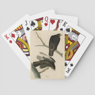 Black Warrior (Red-tailed Hawk) from Audubon Birds Playing Cards