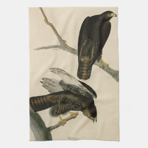 Black Warrior (Red-tailed Hawk) from Audubon Birds Tea Towel