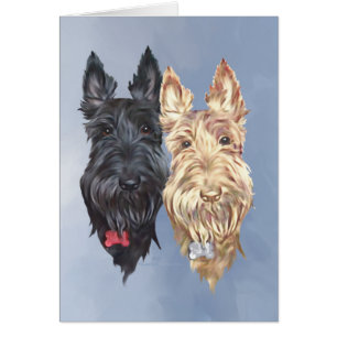 Black & Wheaten Scottish Terriers