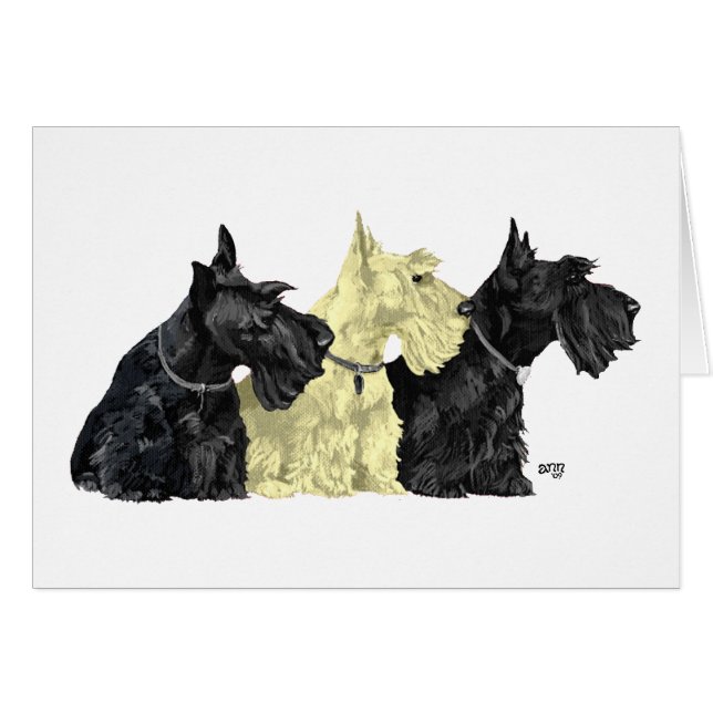 Black & Wheaten Scottish Terriers (Front Horizontal)
