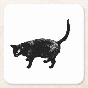 Black Whiskers Meet Candle Glow Square Paper Coaster
