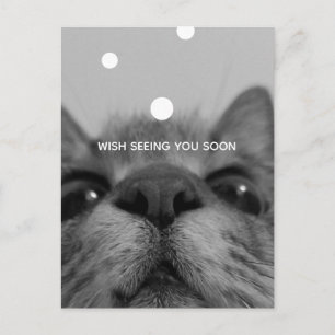 Black&White 17yro kitty Blank Postcard