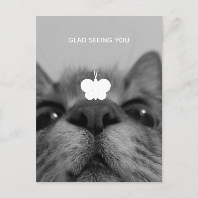 Black&White 17yro kitty  Blank Postcard  (Front)
