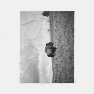 Black & White American Bison Standing Small Fleece Blanket