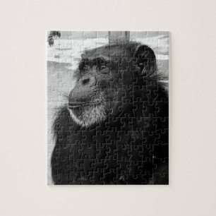 Black & White Ape Monkey Jigsaw Puzzle Gorrilla