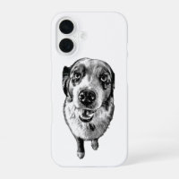  Black & White Aussie Dog Close-Up | Protective