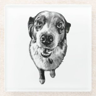 Black & White Aussie Portrait – Artistic Glass Coaster