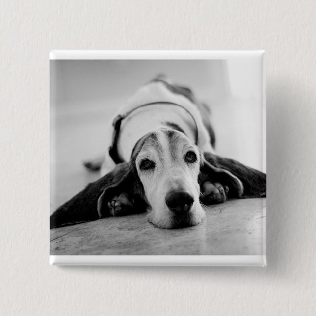 Black & White Basset Hound Button (Front)