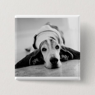 Black & White Basset Hound Button