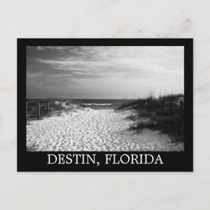 Black white beach pathway destin, florida postcard